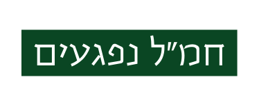 חמ ל נפגעים