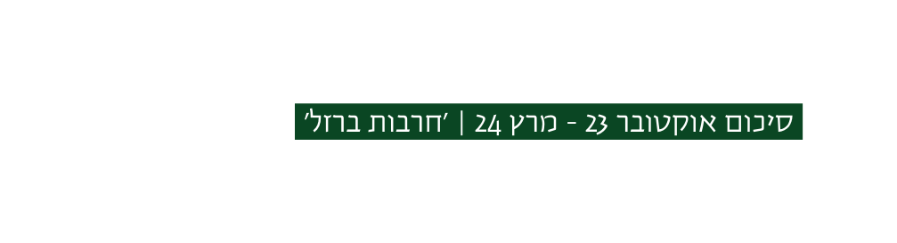 סיכום אוקטובר 23 מרץ 24 חרבות ברזל