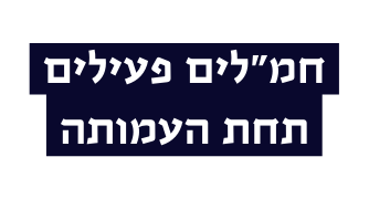 חמ לים פעילים תחת העמותה